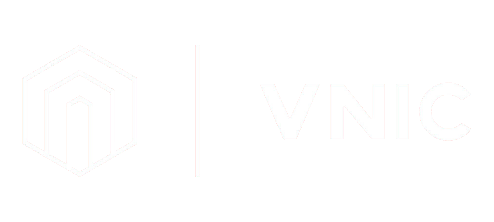 VNIC – Vietnam Invesment Consulting