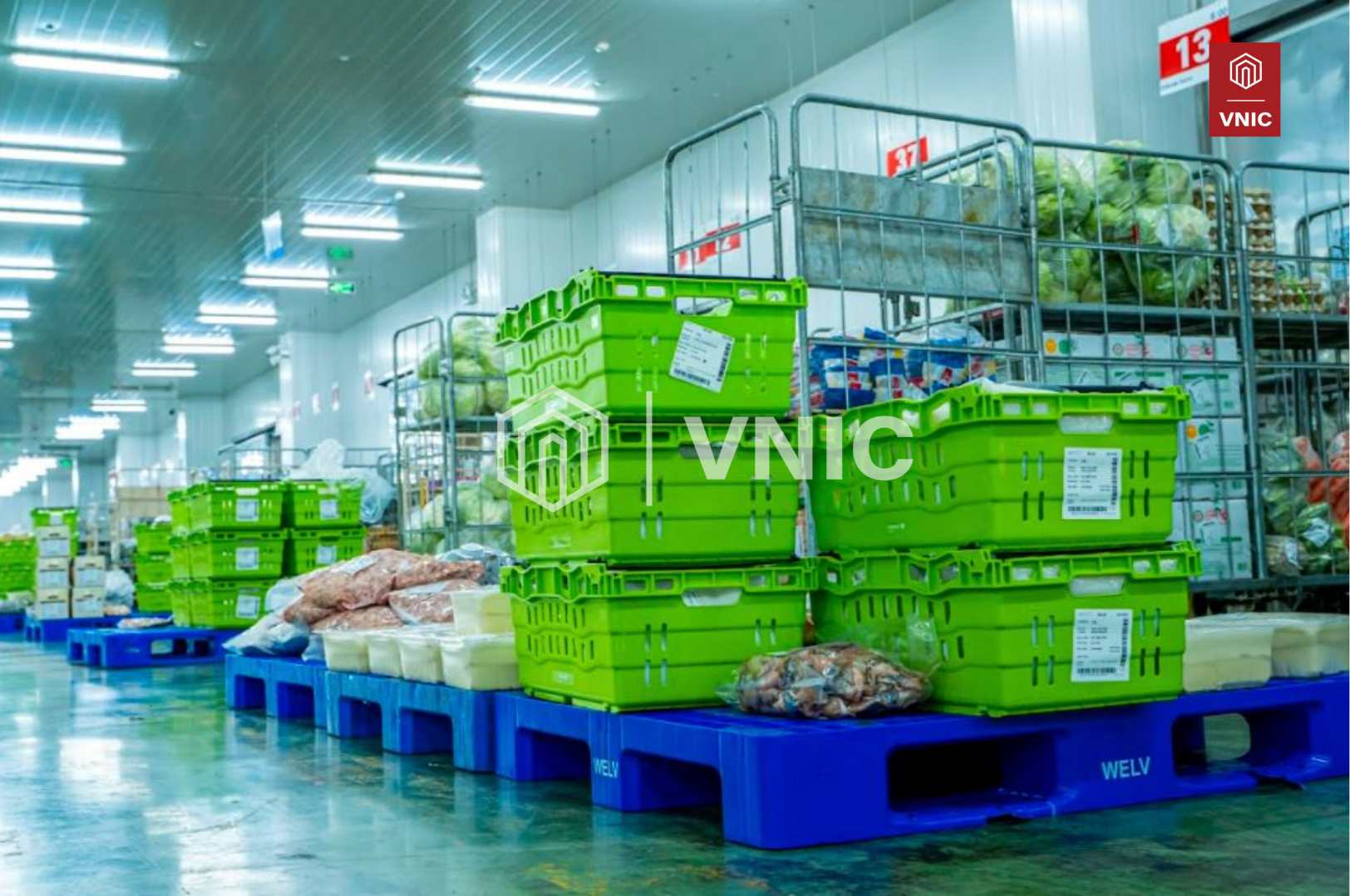 Kho lạnh và những yêu cầu đặc thù trong bảo quản hàng hóa